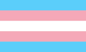 Trans fáni