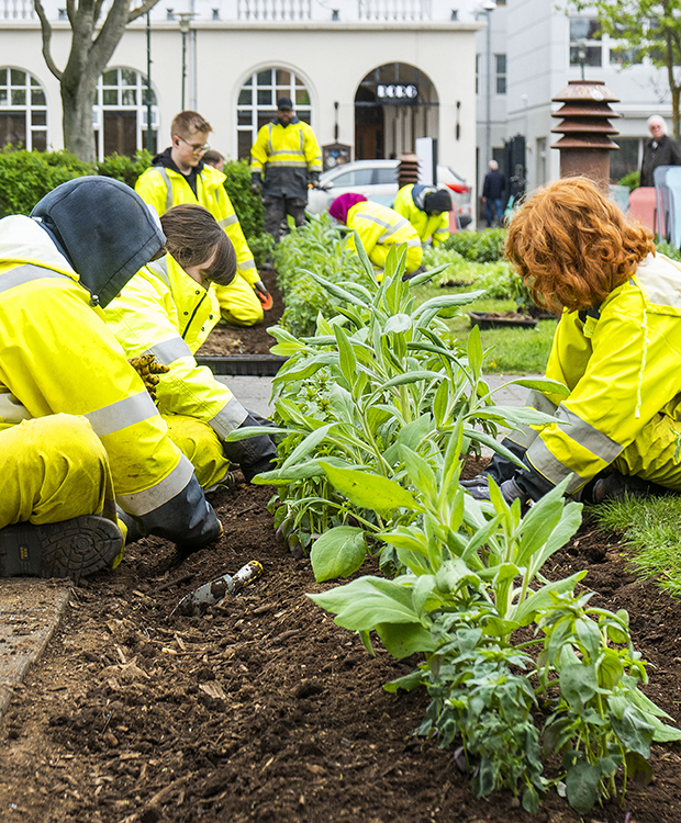 Summer workers plant flowers in beds at Austurvöllur.