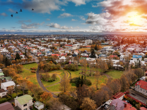 Yfirlitsmynd af grænum gróðri og húsum í Reykjavík.