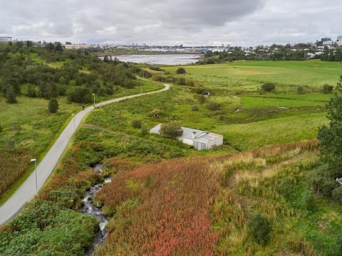 walking path and vegetation