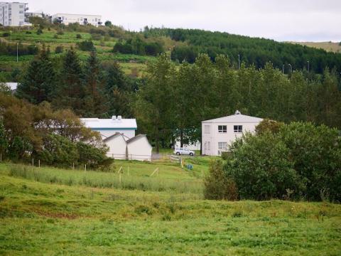 Houses, grassland, and trees.