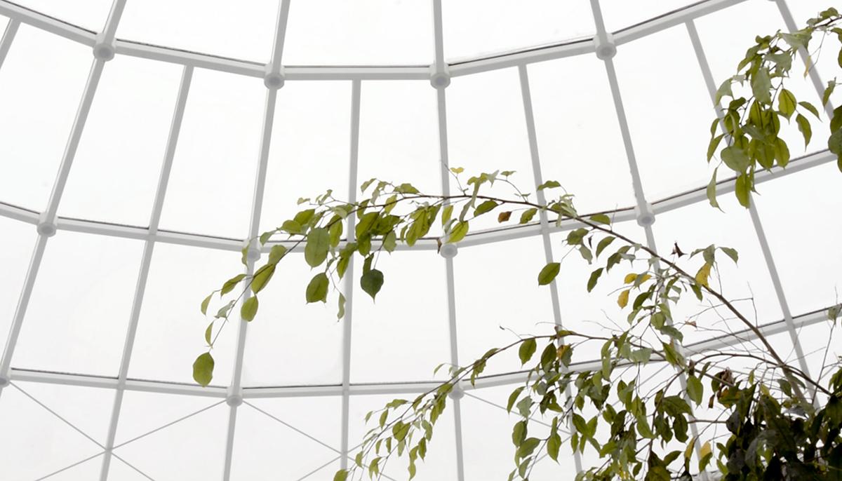 Horft upp um gluggahvelfingu í innilaug Árbæjarlaugar