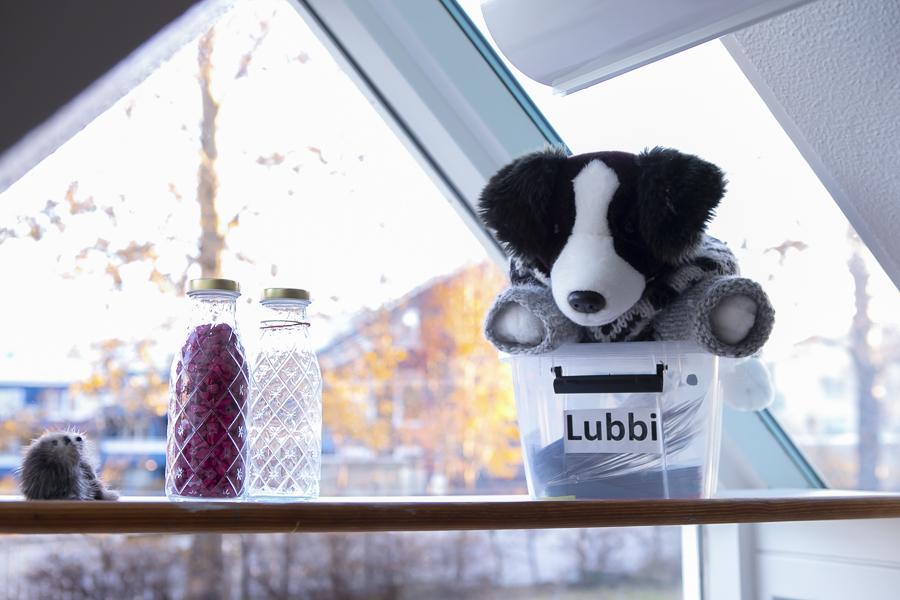 Bangsi í plastboxi með áletruninni Lubbi. Tvær glerflöskur og stór gluggi.
