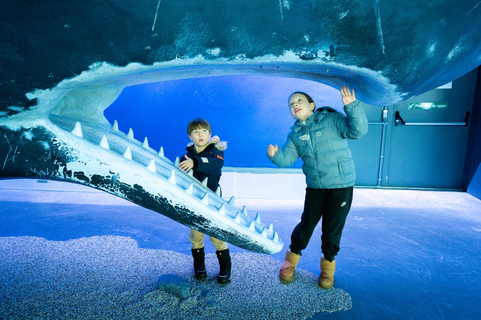 The Whales of Iceland Museum during Museum Night