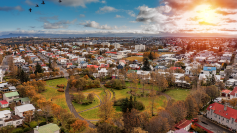 Aerial view of greenery and houses in Reykjavík.