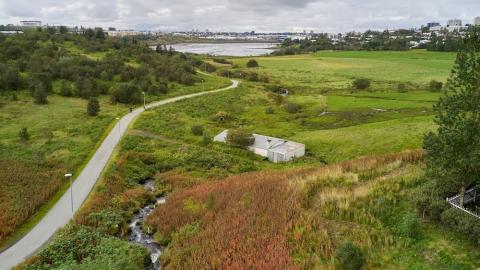 walking path and vegetation
