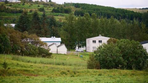 Houses, grassland, and trees.